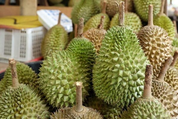 Mat Sabu: Malaysia’s fresh durians now allowed for export to China