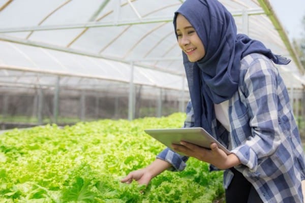 Program Agropreneur Muda